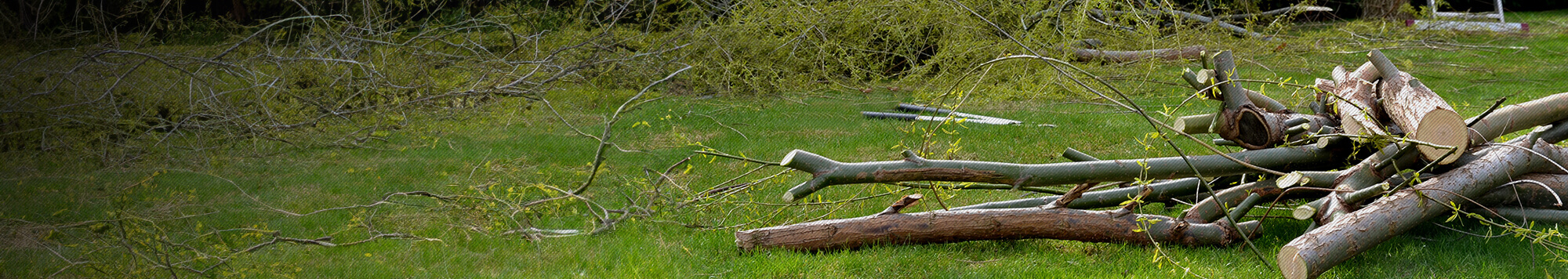 A pile of fallen tree branches in a yard, emphasizing the importance of yard work as part of home maintenance services. This image complements handyman services like HVAC installation, furnace replacement, and air duct cleaning. Yardwork services, such as tree removal and landscape maintenance, help keep a property clean and safe while enhancing the curb appeal, which aligns with HVAC services that ensure a comfortable and well-maintained home environment.