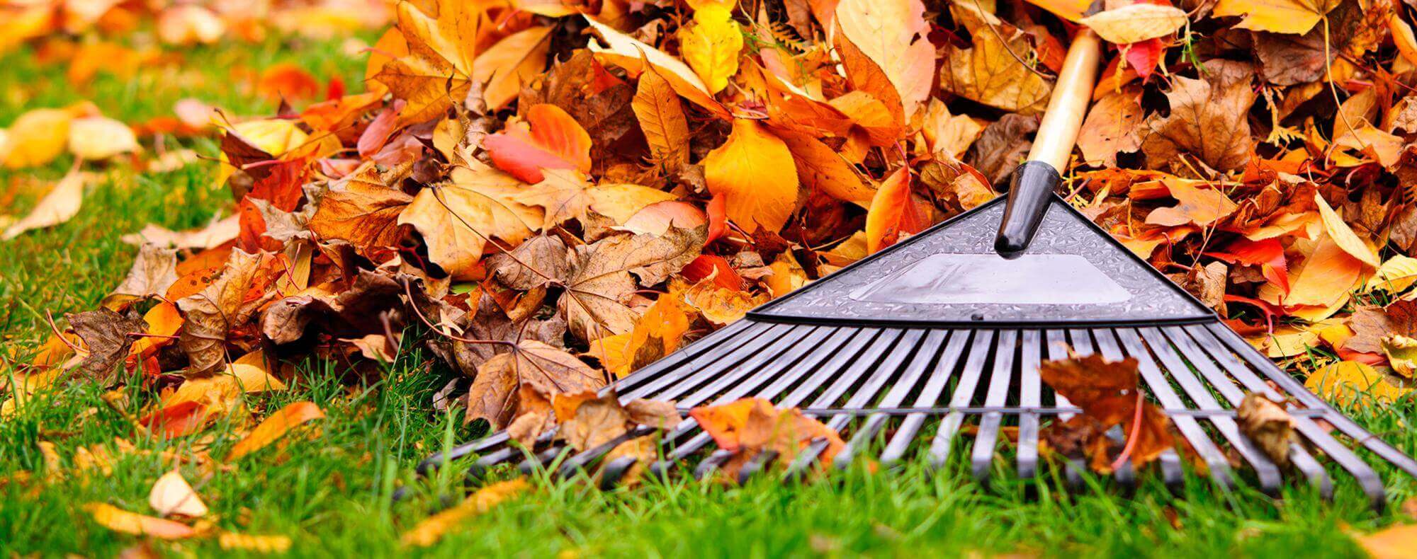 A rake and a pile of fallen leaves on a well-maintained lawn, representing yardwork services as part of overall home maintenance. This image highlights the importance of lawn care, leaf removal, and other landscaping tasks that contribute to a clean and attractive property. It aligns with HVAC services such as furnace replacement, air duct cleaning, and HVAC installation, ensuring that both the exterior and interior of the home are well-maintained for comfort and efficiency.